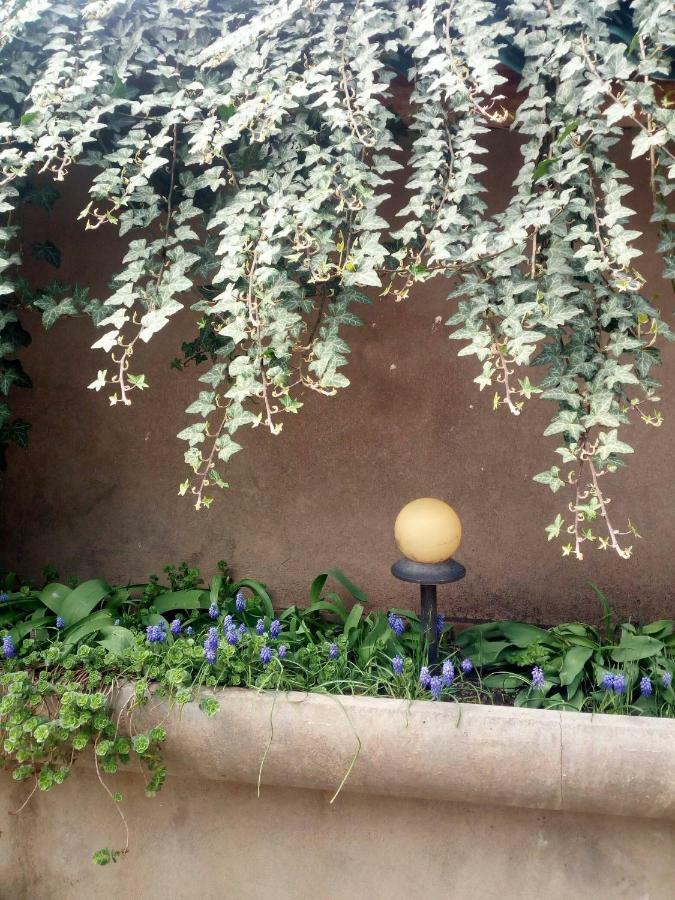 Green House Kachret'i Exterior photo